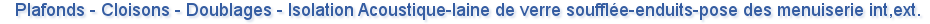    Plafonds - Cloisons - Doublages - Isolation Acoustique-laine de verre souffl&eacute;e-enduits-pose des menuiserie int,ext. 